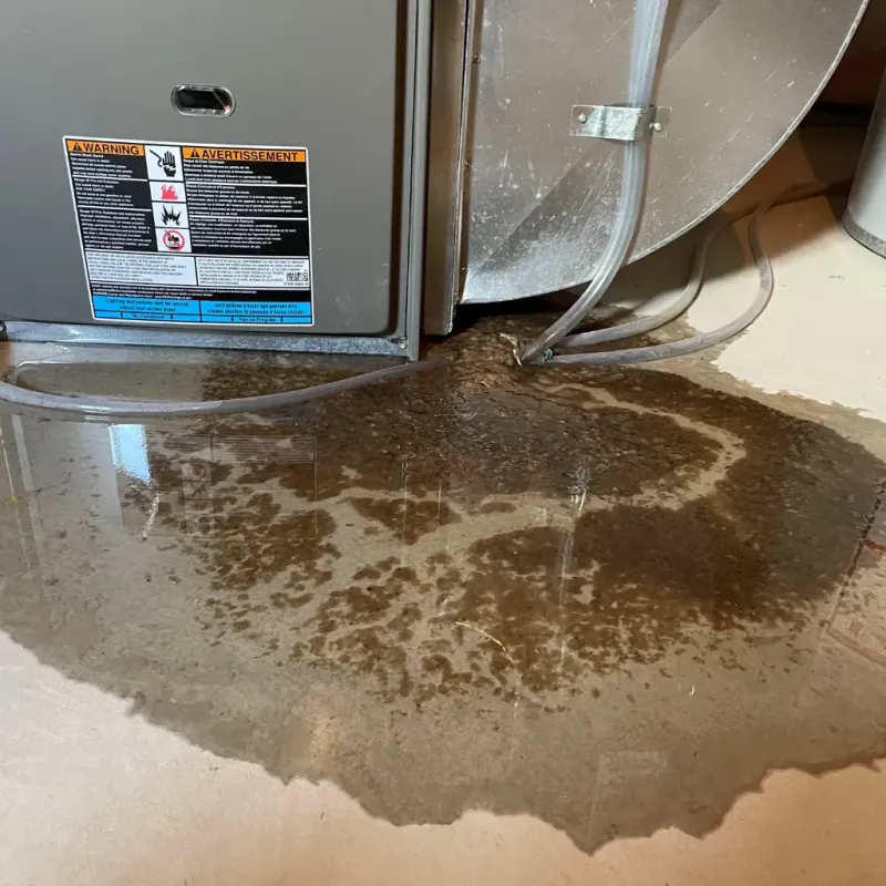 Appliance Leak Cleanup in Plain City, UT